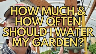 💦 How Much & How Often Should I Water My Garden? 🚿