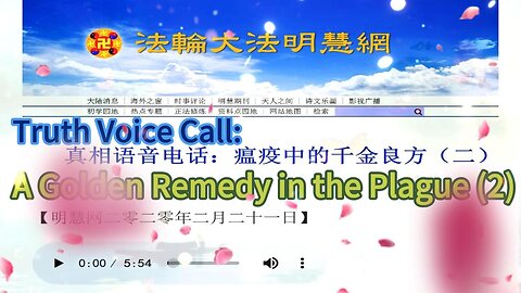 真相语音电话：瘟疫中的千金良方（二）Truth Voice Call: A Golden Remedy in the Plague (2) 2020.02.21