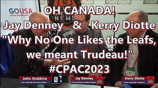 Indivisible w/John Stubbins - Canada Leaders Denney & Kerry Diotte - TuskBrowser CEO Jeff Bermant