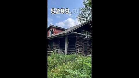 160 acres! Well-built cabin w/ all utilities nestled in the pines. $299,000