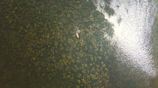 Overhead View of Kayaking at Kildare Lodge, Alberton PEI