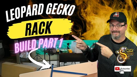 Leopard Gecko Rack Build Part 1
