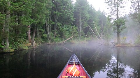 Morning Paddle at Bamber Lake short video