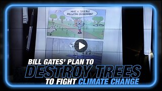 Bill Gates' Plan to Destroy Trees to Fight Climate Change/Cause Collapse Event Exposed