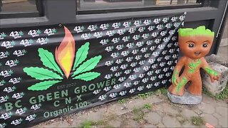 BC Green Grower Interview