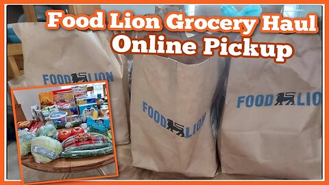 Food Lion Grocery Haul