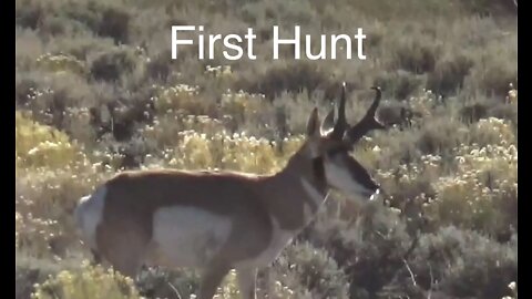 A First Hunt, WY Antelope