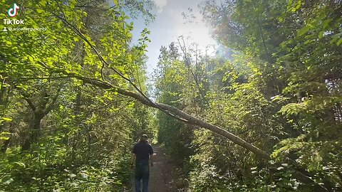 Hiking Alaska !