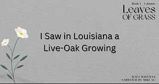 Leaves of Grass - Book 5 - I Saw in Louisiana a Live-Oak Growing - Walt Whitman