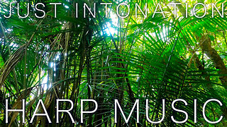 Just Intonation Music / Single Loop 🌿Gently Snuggle Up Harp Music #40 🌿 A=432hz