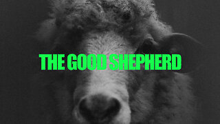 The Good Shepherd - 3/10/24
