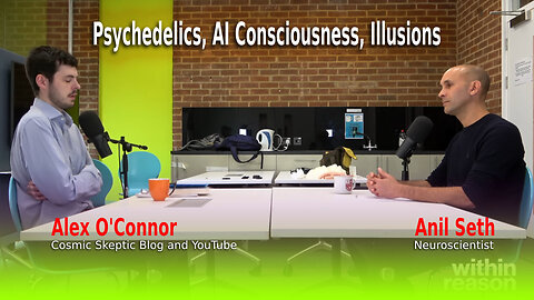 Alex O'Connor with Neuroscientist Anil Seth: Psychedelics, AI Consciousness, Illusions