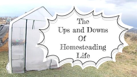 The Ups and Downs of Homesteading Life