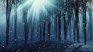 Dark Winter Music - Spooky Woods of Winterdeep