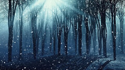 Dark Winter Music - Spooky Woods of Winterdeep