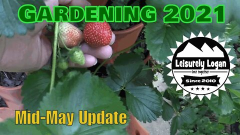 Garden 2021 : Mid-May Update