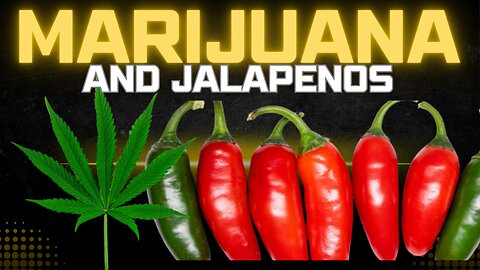 Marijuana and Jalapenos