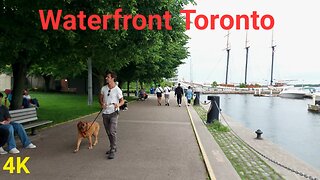 【4K】Waterfront Downtown Toronto Canada 🇨🇦