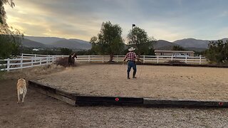 Redhearth Ranch Beasts - Horserobics