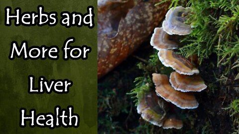 Herbs and More for Liver Health