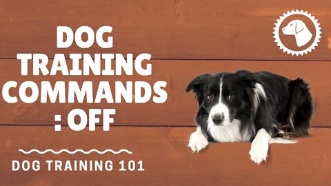 Basic Dog Training Commands: Off | DOG TRAINING 🐶 #BrooklynsCorner
