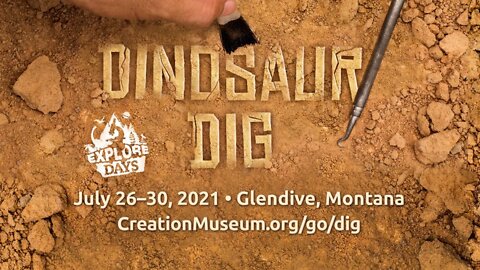 Dig for Dinosaurs This Summer!