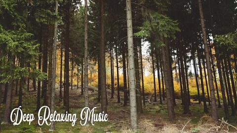Relaxing Piano Music, Relaxing Music, Soothing Instrumental Music, Deep Focus ⚧ Calming Music