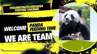 Watch: When This Wild Panda Is Fed You Won't Believe What Happens Next!. ThisandthatFloridausa.