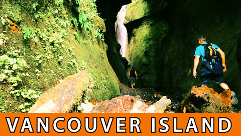 Take An Amazing Day Trip From Victoria (3 Things To Do In Port Renfrew)