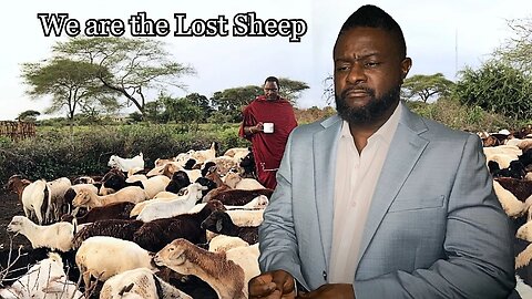 We Are The Lost Sheep