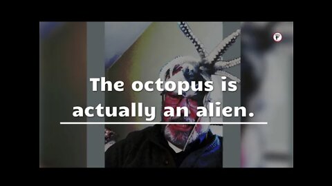 Interesting facts: The octopus is actually an alien