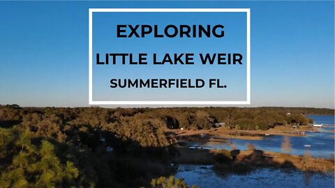 Good Old Florida | Little Lake Weir - Summerfield, Florida