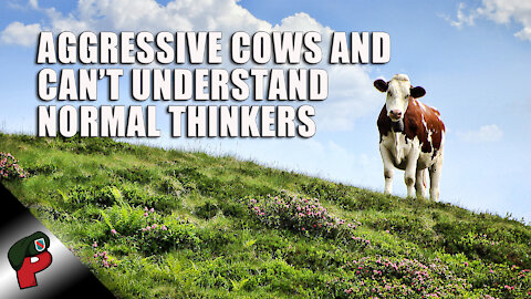 Aggressive Cows And Can’t Understand Normal Thinkers | Grunt Speak Highlights