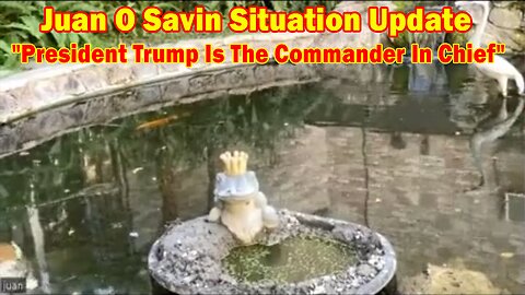 Juan O Savin Situation Update: "President Trump Is The Commander In Chief"