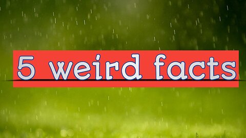 5 weird facts