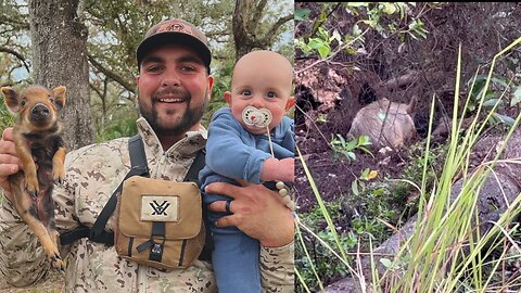 Bow hunting hogs with our 6 month old son.