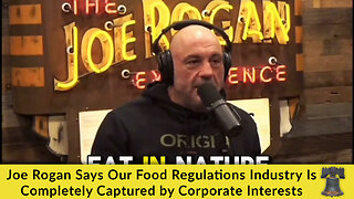 Joe Rogan Says Our Food Regulations Industry Is Completely Captured by Corporate Interests