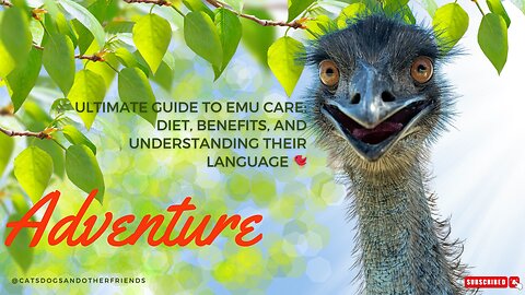 🌿 Ultimate Guide to Emu Care: Diet, Benefits, and Understanding their Language 🐦