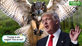 Trump is an eagle? Yes or no?
