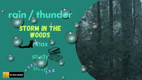 rain and thunder in the woods