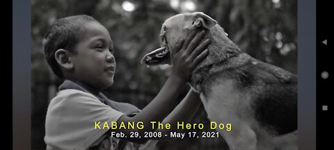 KABANG,THE LEGACY OF DOG HERO THAT INSPIRES THE WHOLE WORLD BY SAVING LIFE.