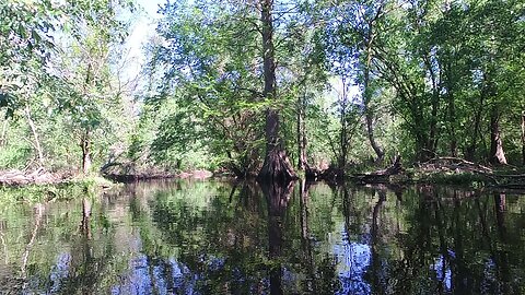 Saturday, 4/15/23, Thoroughfare Swamp & Falling Creek (Wayne County)