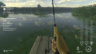 Butterfly Peacock Bass 3.5lbs #Fishing #Scenery #Beauty #TheFisherman