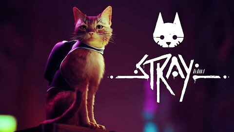Stray the cat Gameplay (PS5)