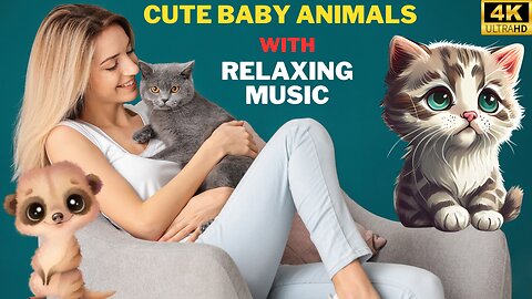 Cute Pets - Relaxing Music - Cute Animals 4K 🌳 Cute Puppy - Relaxation Film - HD - #relaxing