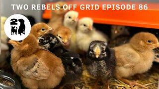 Work On Our Off Grid Hyperadobe Chicken Coop Stopped