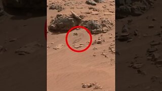 Som ET - 78 - Mars - Curiosity Sol 712 - Video 1 #Shorts