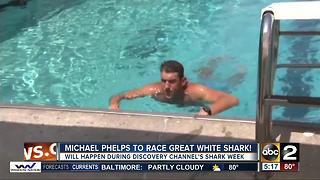 Michael Phelps jumps back into the water to race a great white shark