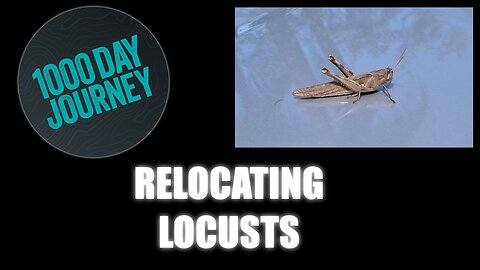 1000 Day Journey 0258 Relocating Locusts