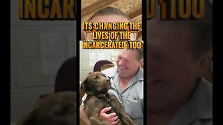 Puppies For Parole Prison Program #short #dog #prison